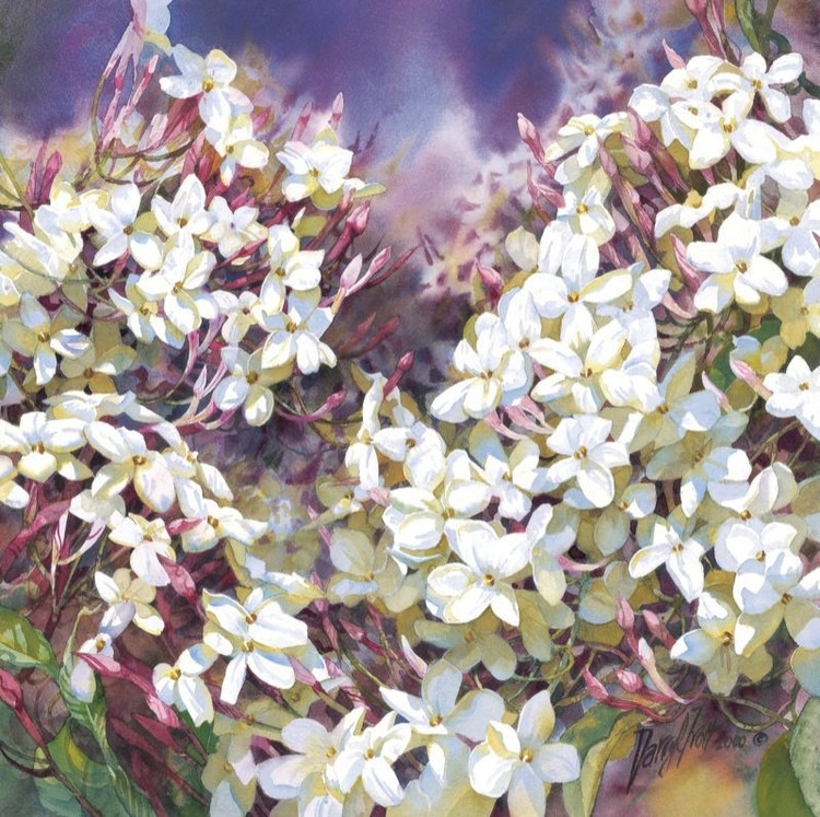 水彩画家达里尔特洛特Darryl Trott