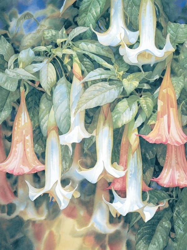 水彩画家达里尔特洛特Darryl Trott