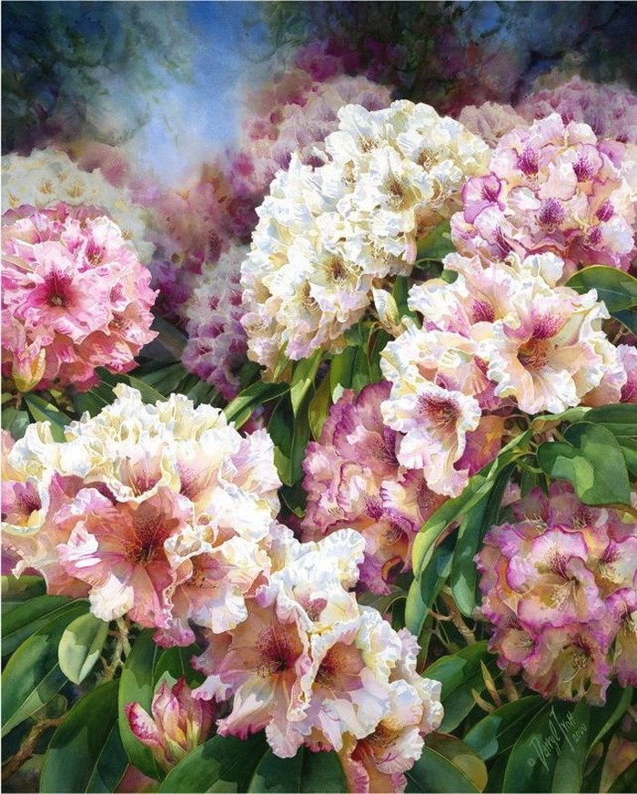 水彩画家达里尔特洛特Darryl Trott