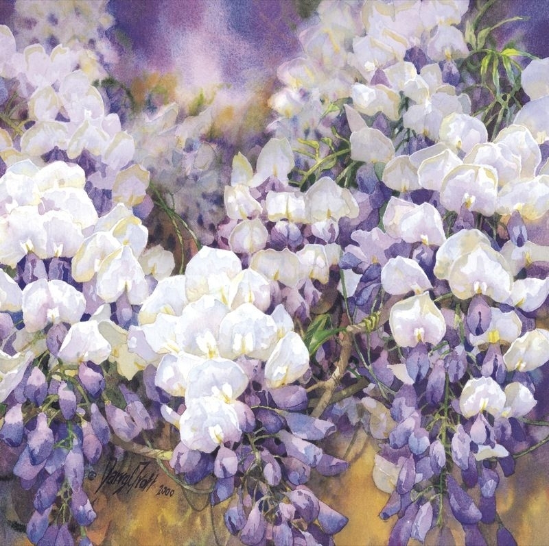 水彩画家达里尔特洛特Darryl Trott