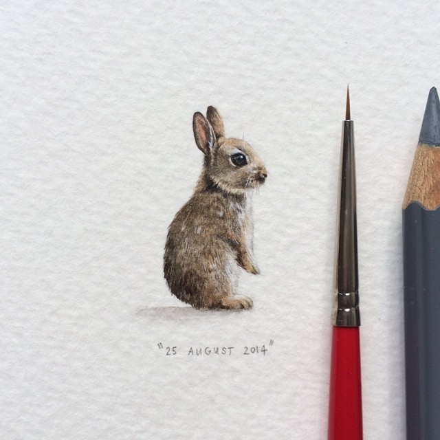 Lorraine Loots的小清新插画作品