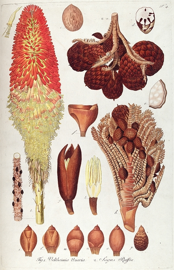 p2202441235