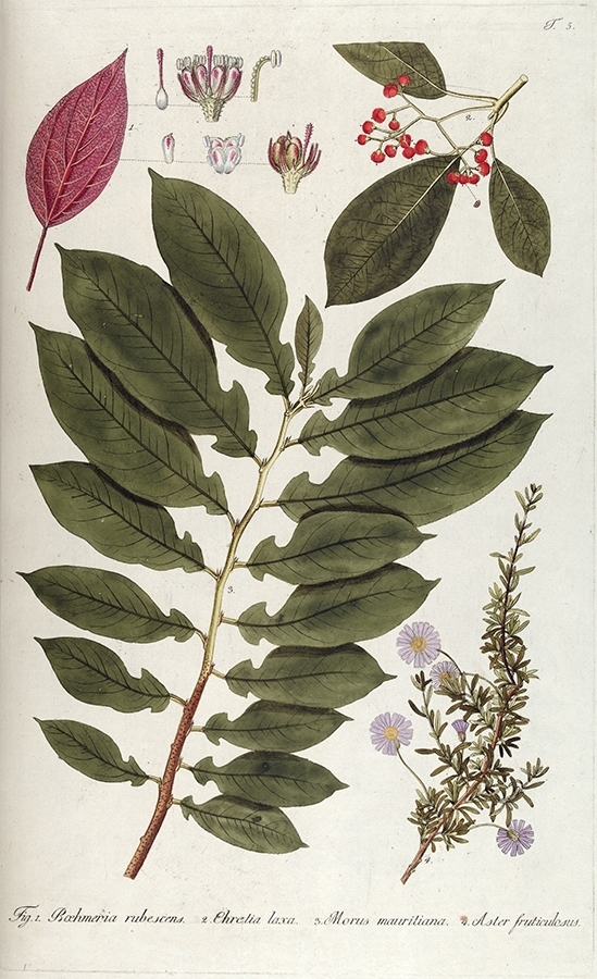 p2202441237
