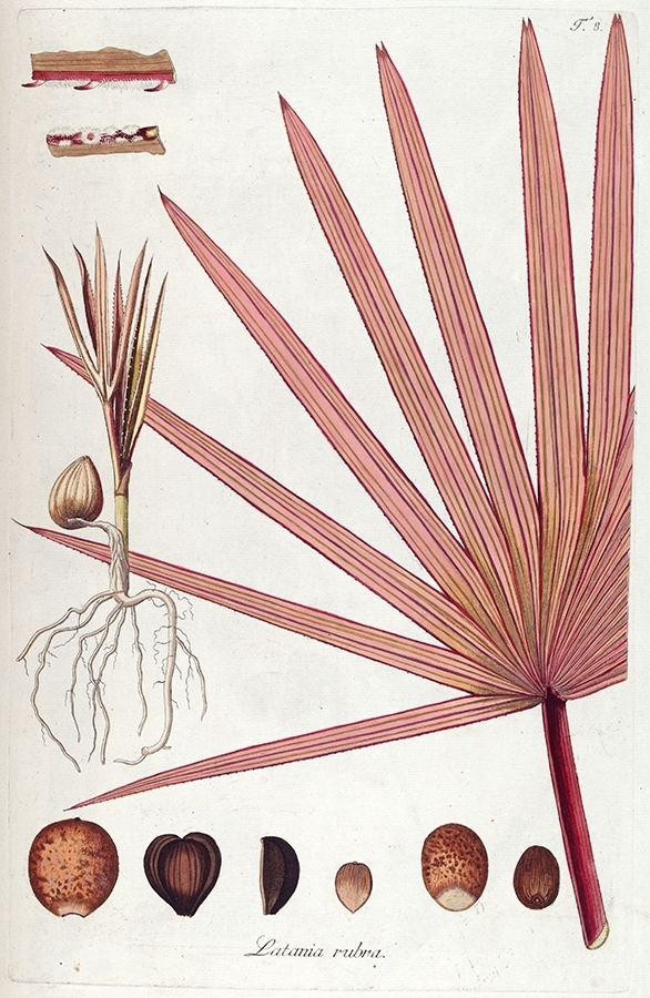 p2202441246