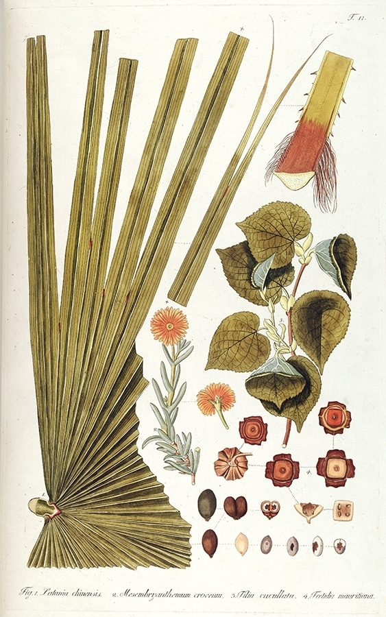 p2202441254