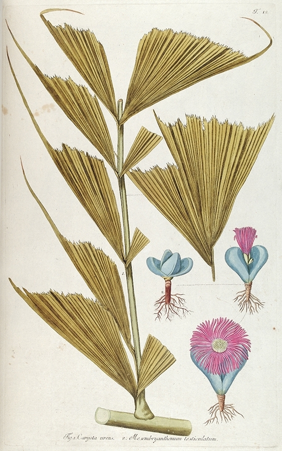 p2202441255