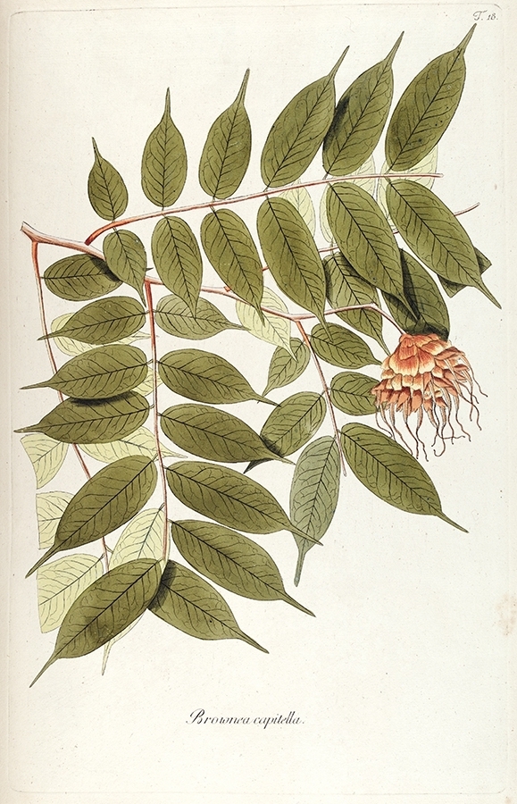 p2202441273