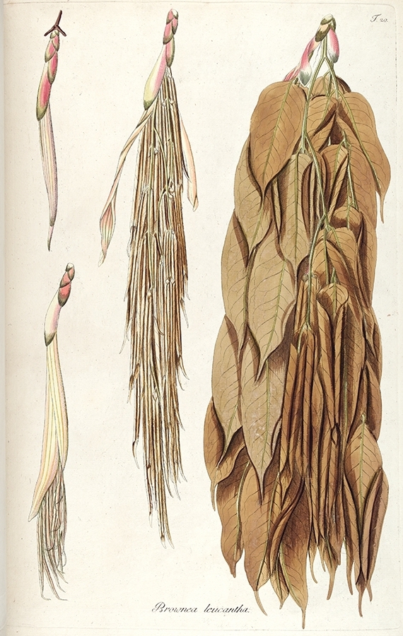 p2202441278