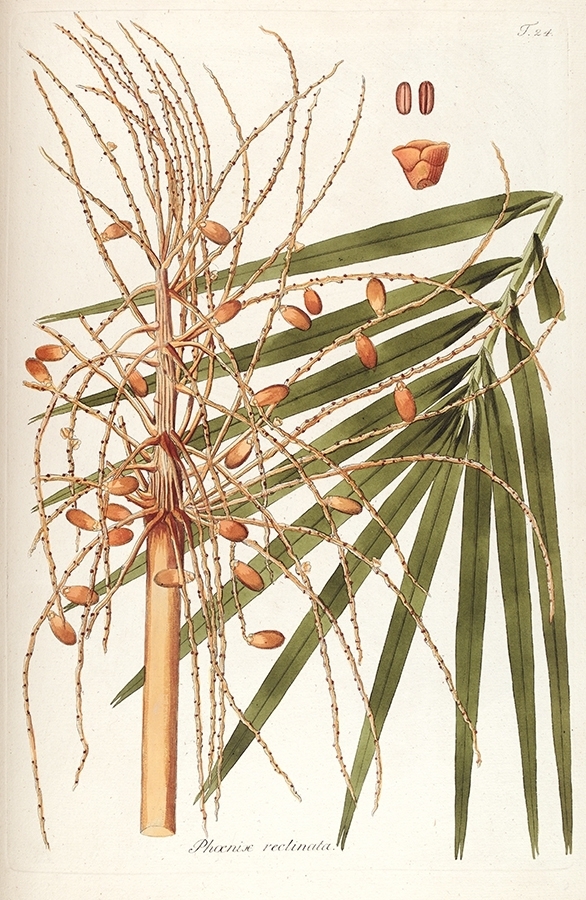 p2202441284