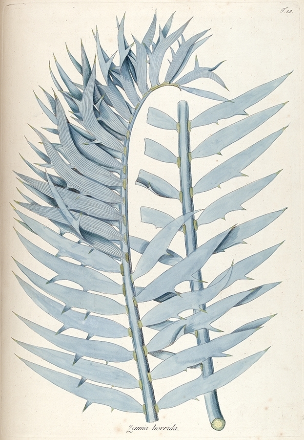 p2202441297