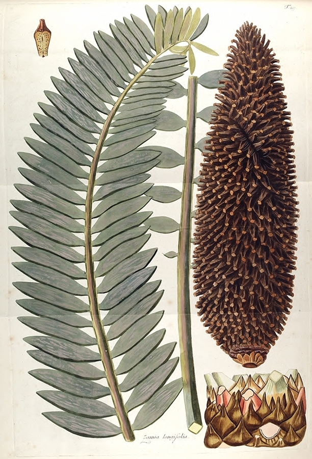 p2202441301
