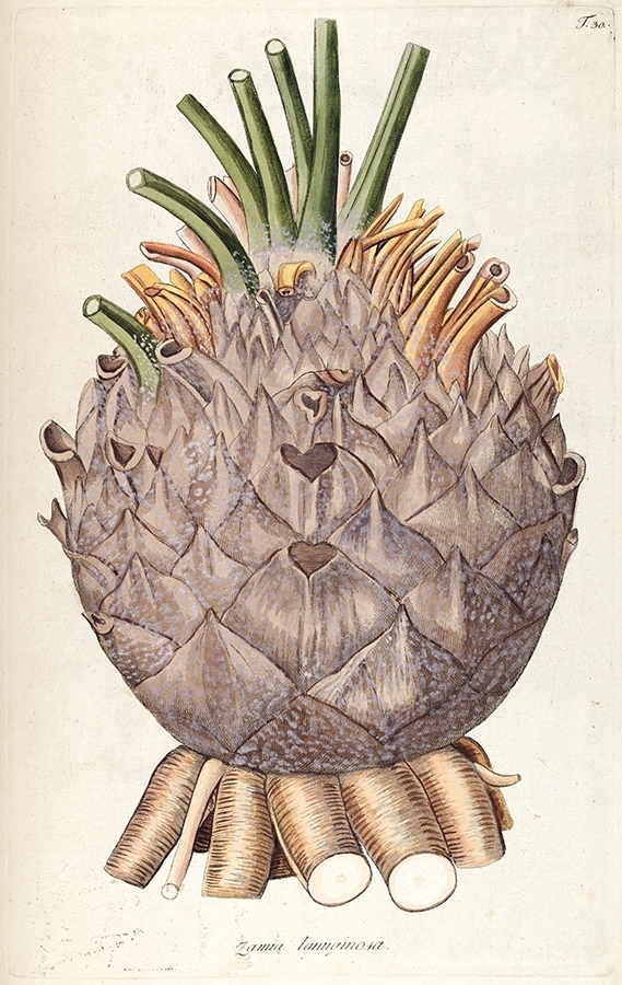 p2202441302