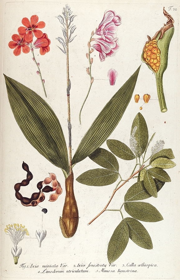 p2202441305