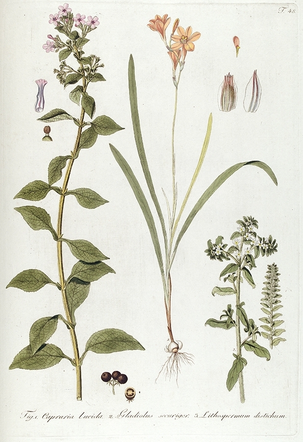 p2202441357