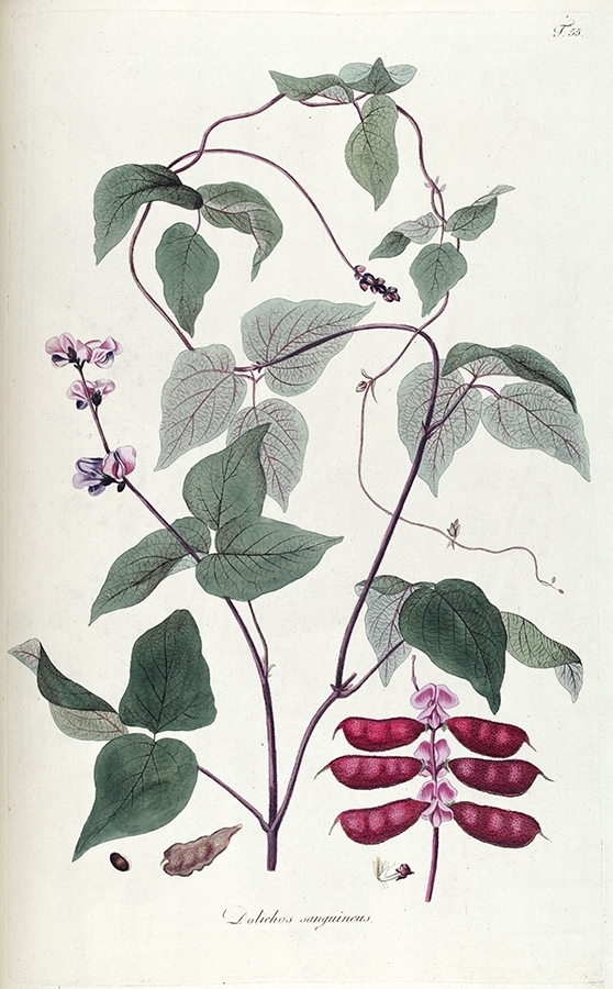 p2202441375