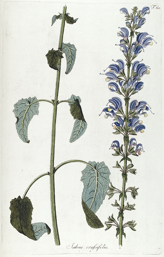 p2202441391