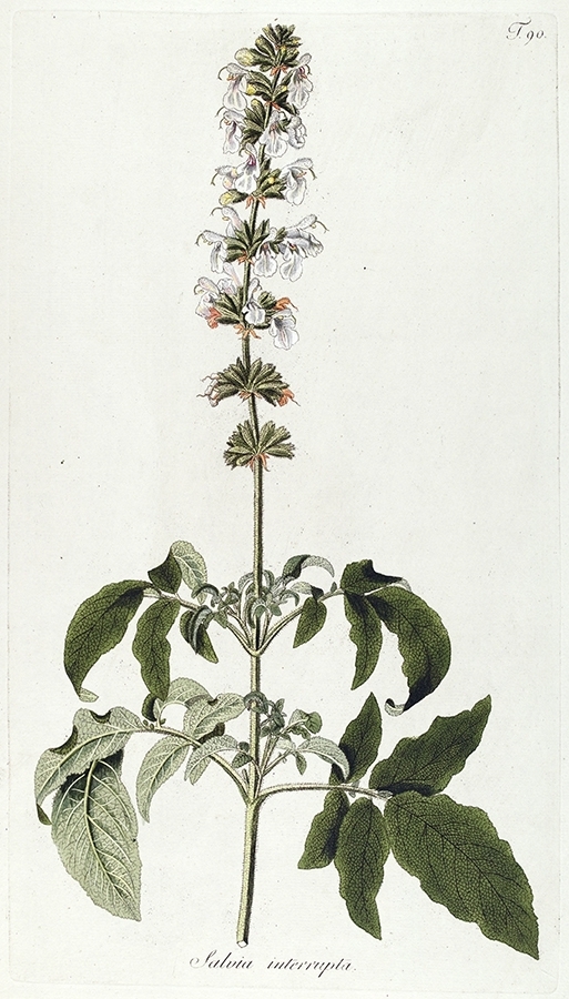 p2202441525