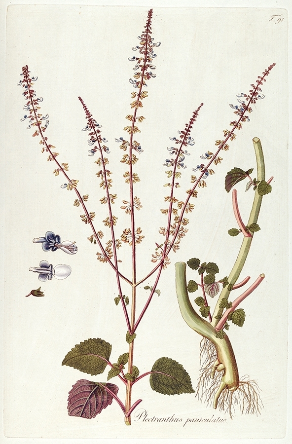 p2202441530