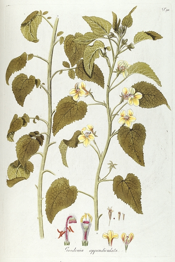 p2202441533