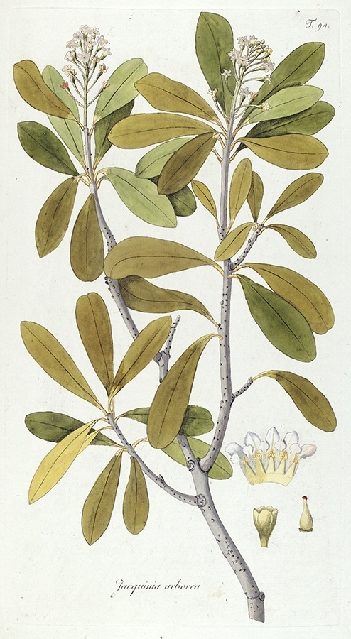 p2202441539