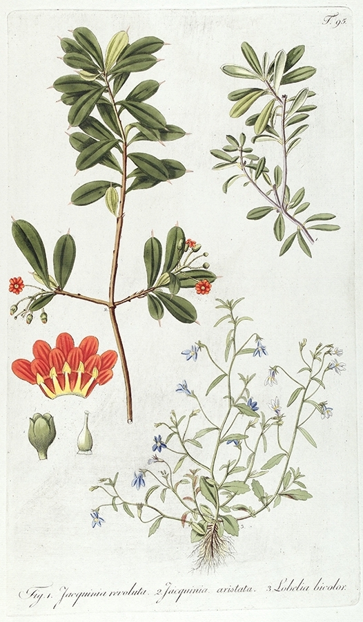 p2202441543