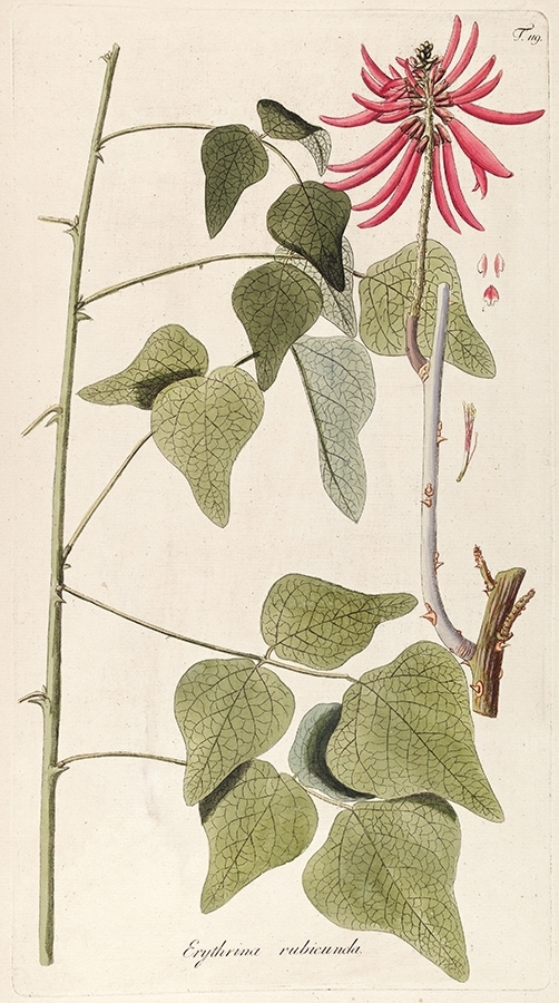p2202442066