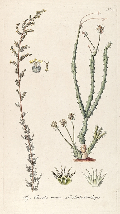 p2202442071