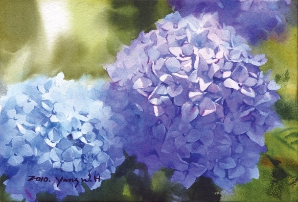 韩国Yang Won Hui水彩花卉作品2411093