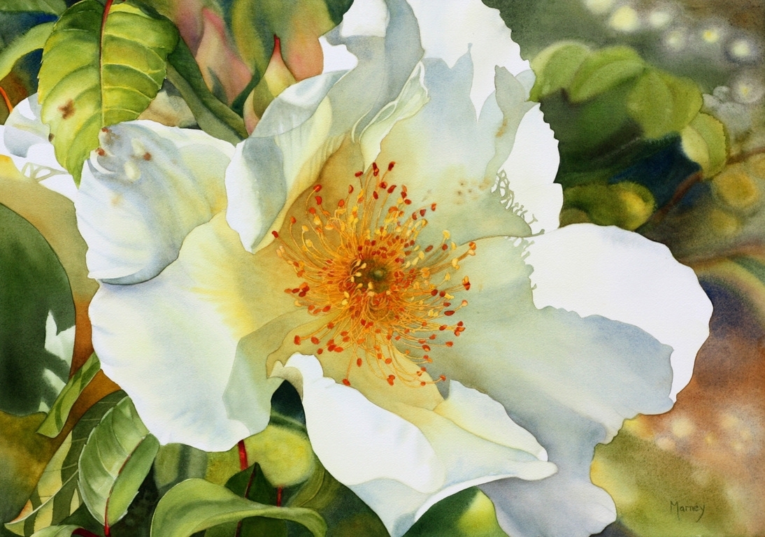 p2152949489