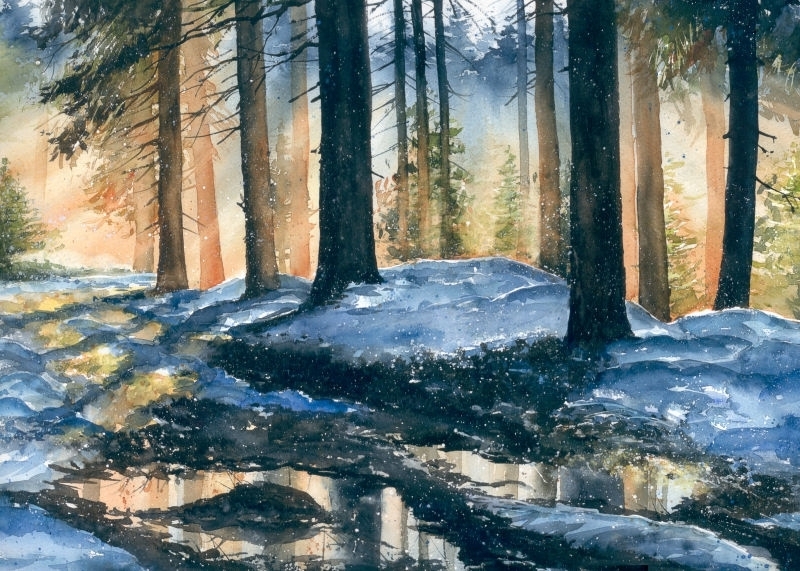 Malgorzata Szczecinska的自然风景花卉水彩画 2161699044