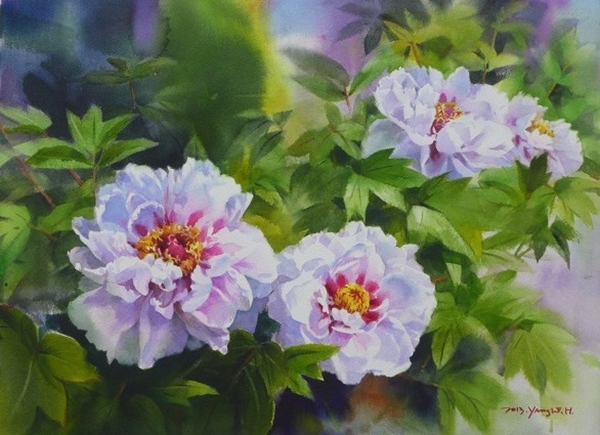 韩国Yang Won Hui水彩花卉作品996137
