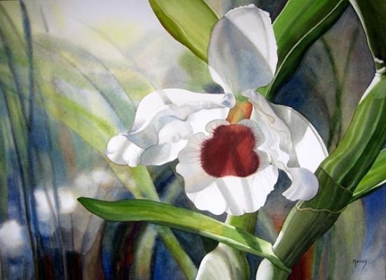 p798414861