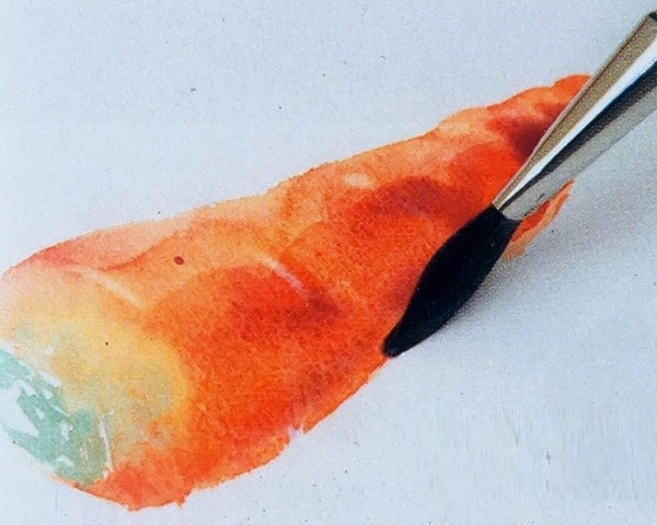 水彩画入门教程：写生胡萝卜的步骤