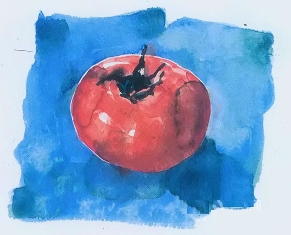  水彩画入门教程：写生西红柿的步骤