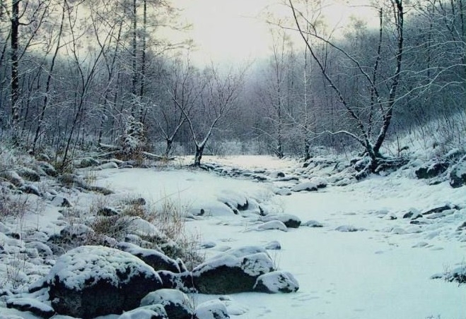 陶世虎写实水彩自然风景作品赏析