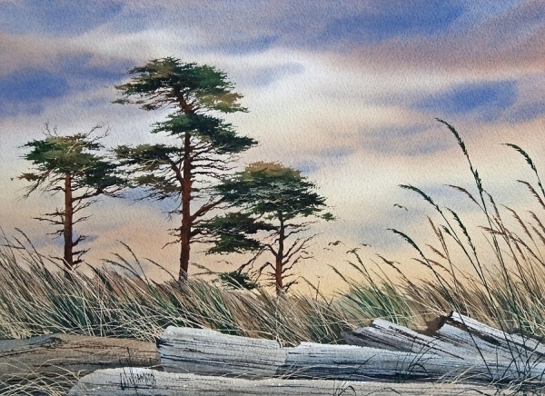 James Williamson航海帆船风景水彩画作品5