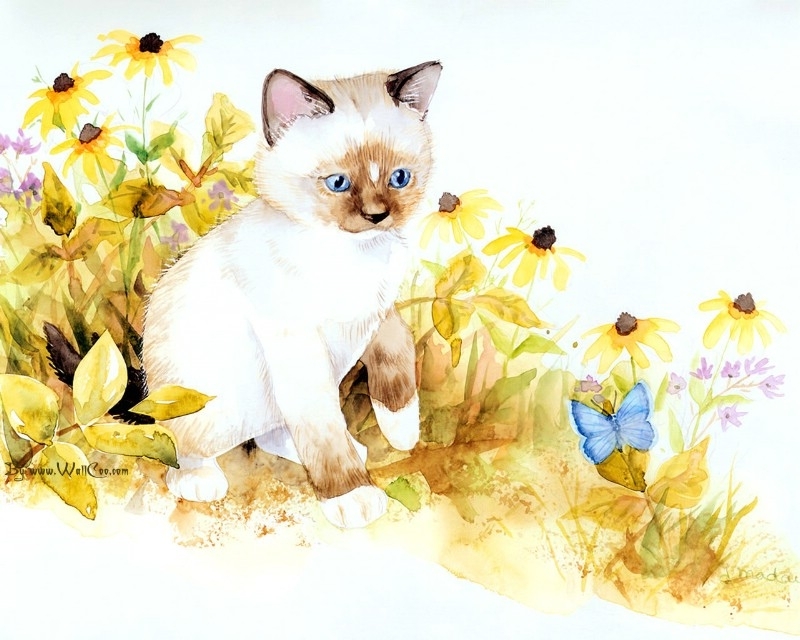 美国插画师Jane Maday笔下的可爱猫咪小动物-2