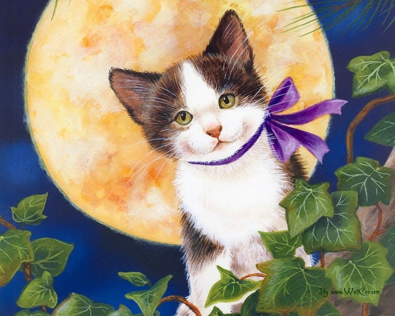美国插画师Jane Maday笔下的可爱猫咪小动物-10