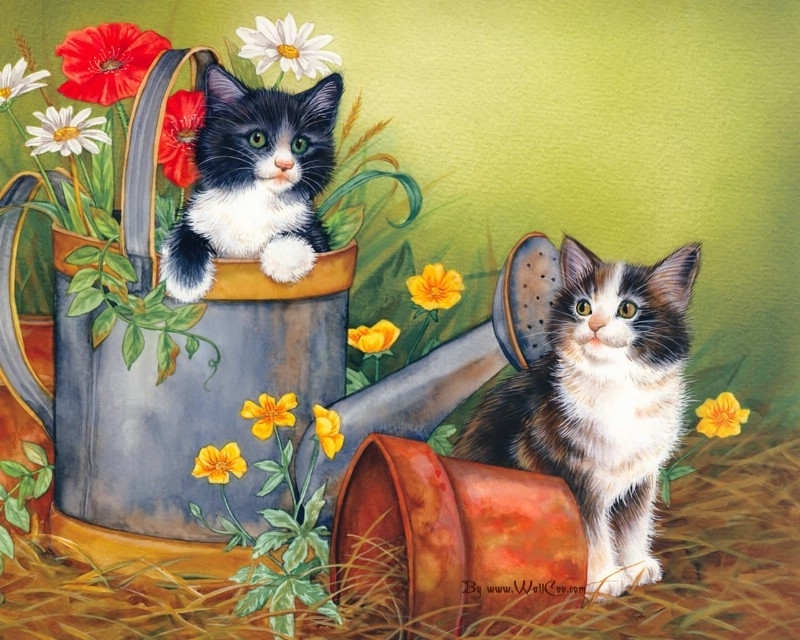 美国插画师Jane Maday笔下的可爱猫咪小动物-13