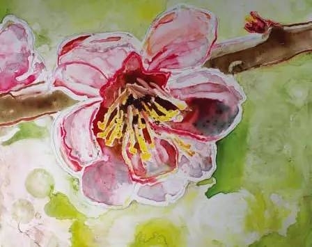 水彩画10种肌理质感的使用方法