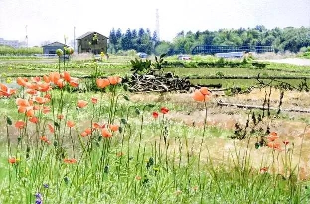 小镇一角 田中己永风景水彩画作品