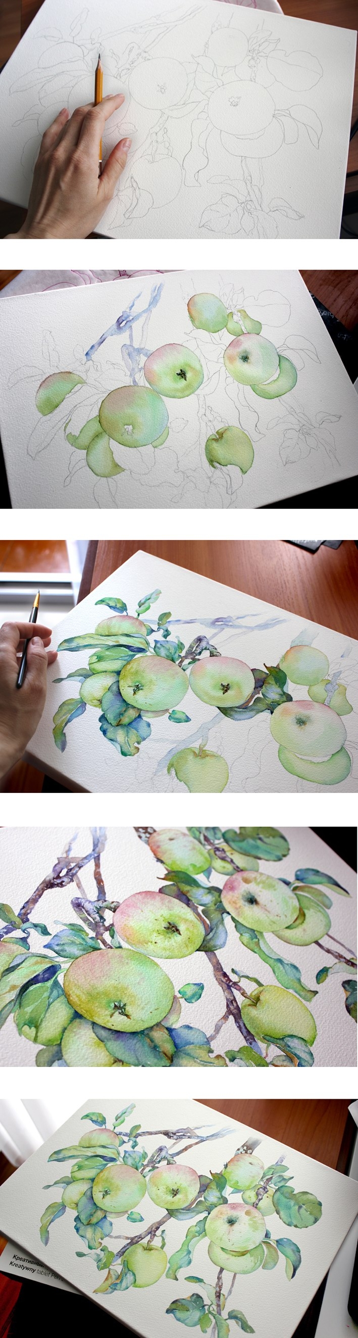俄罗斯Olga Moskaleva小清新水彩作品