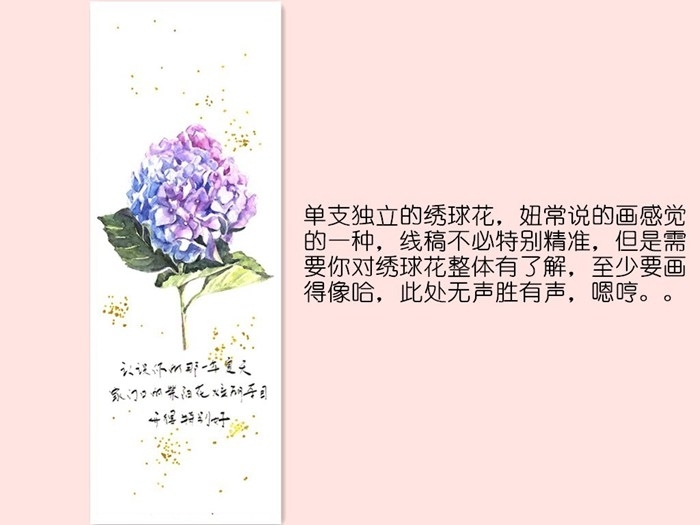 豆子桃水彩插画：我只会画画