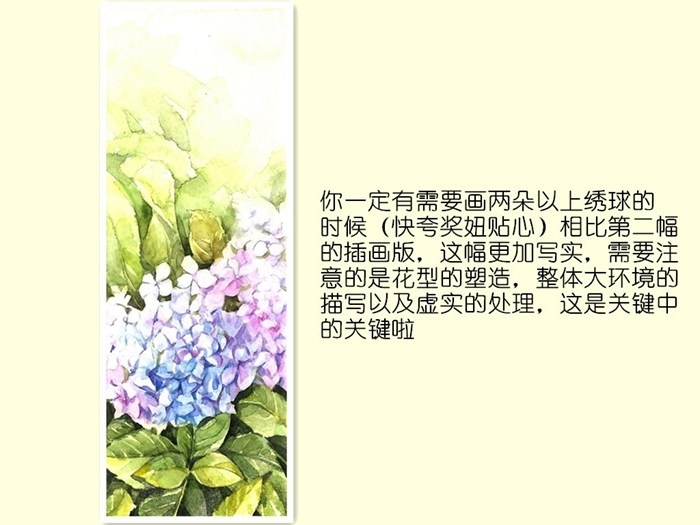 豆子桃水彩插画：我只会画画