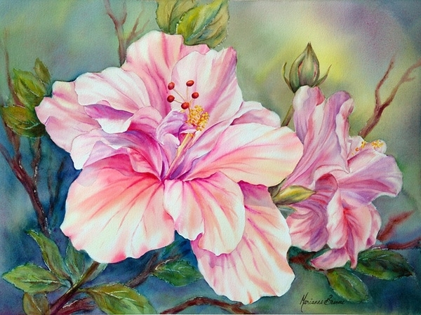 ​玛丽安布鲁姆Marianne Broome水彩花卉作品
