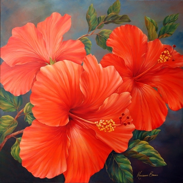 ​玛丽安布鲁姆Marianne Broome水彩花卉作品