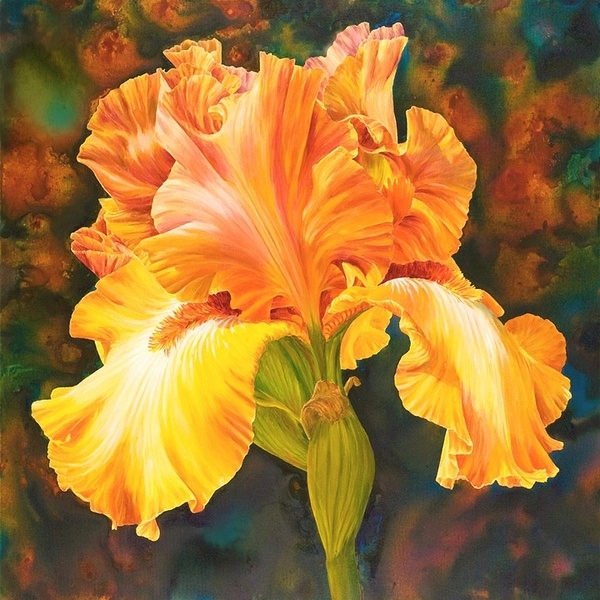 ​玛丽安布鲁姆Marianne Broome水彩花卉作品