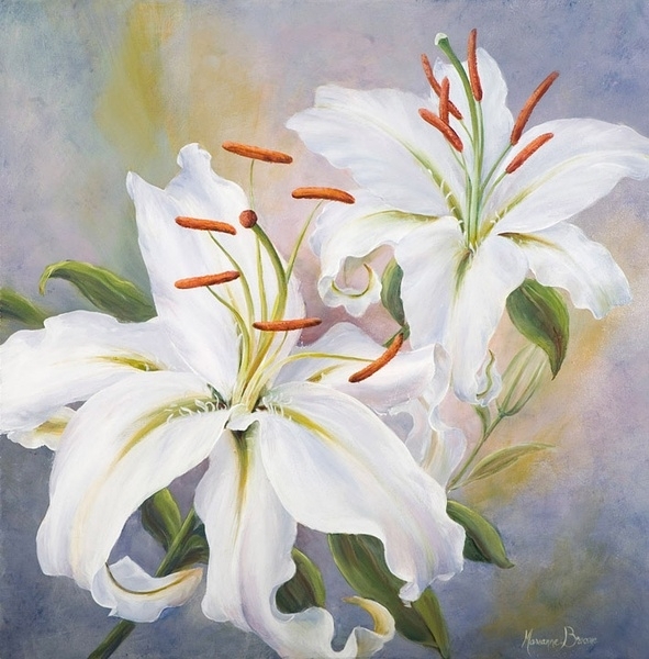 ​玛丽安布鲁姆Marianne Broome水彩花卉作品