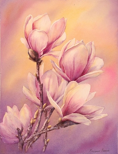 ​玛丽安布鲁姆Marianne Broome水彩花卉作品