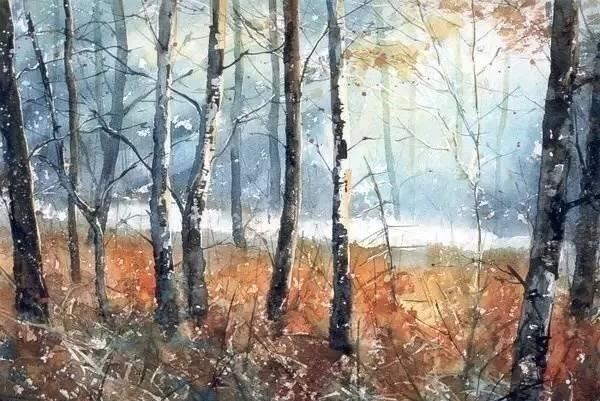 波兰画家Malgorzata Szczecinska森林自然水彩绘